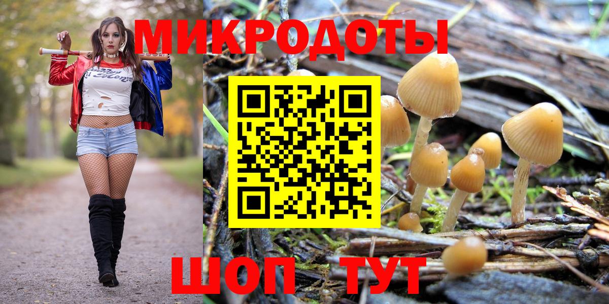 Псилоцибиновые грибы Cubensis  где купить наркоту  Псилоцибиновые грибы Magic Shrooms  Котлас  Вход с VPN 