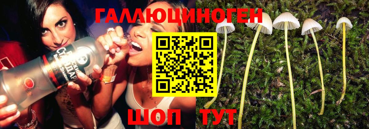Галлюциногенные грибы Magic Shrooms Котлас